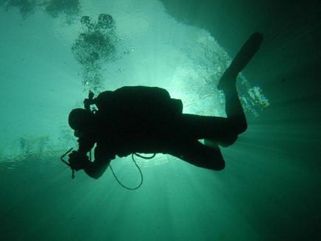  在 Ponderosa cenote 潜水 